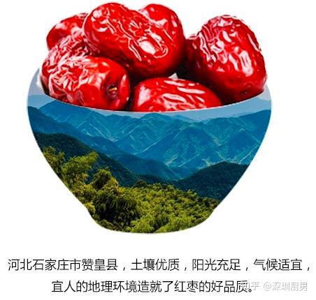 河北畫冊印刷基地