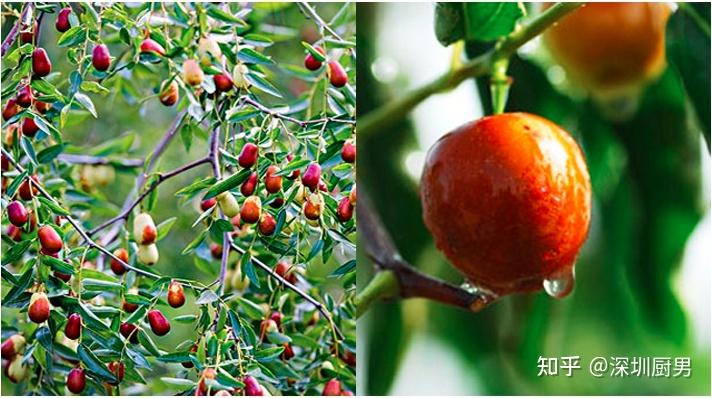 河北畫冊印刷基地