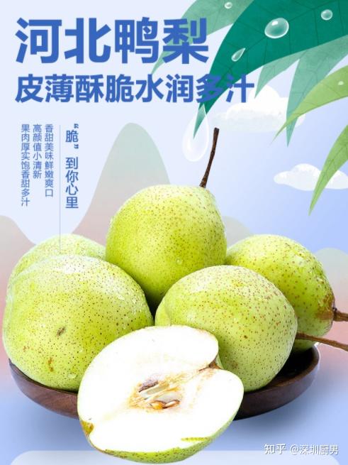 河北畫冊印刷基地