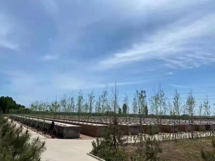 昌黎皮毛廠標(biāo)簽印刷環(huán)保爭議